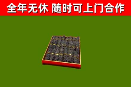 屯昌市回收海参